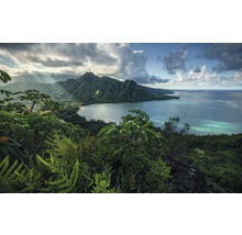 Fototapet vlies SHX9-117 Jurassic Island 450x280 cm