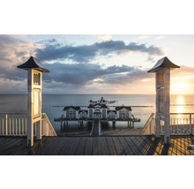 Fototapet vlies SHX9-055 Magic Sellin 450x280 cm