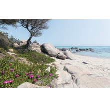 Fototapet vlies SHX9-056 Mediterranean Dreams 450x280 cm