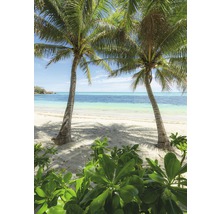 Fototapet vlies SHX4-124 Palmy Beach 200x280 cm