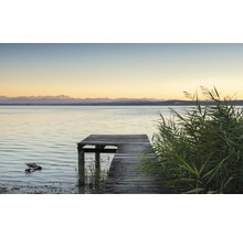 Fototapet vlies SHX9-067 Pastel 450x280 cm