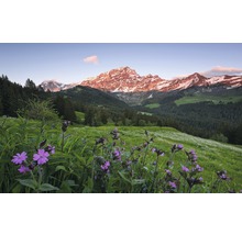 Fototapet vlies SHX9-069 Picturesque Switzerland 450x280 cm