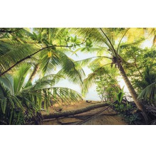 Fototapet vlies SHX9-070 Pirate hide-out 450x280 cm