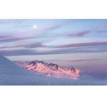 Fototapet vlies SHX9-074 Purple Dinner 450x280 cm