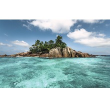 Fototapet vlies SHX9-078 Tresure Isle 450x280 cm