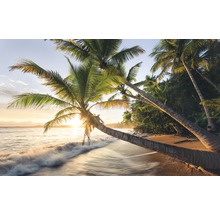Fototapet vlies SHX9-082 Secret Beach 450x280 cm