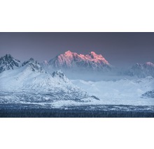 Fototapet vlies SHX10-035 Thrones 500x280 cm
