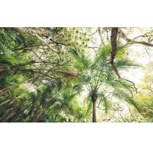 Fototapet vlies SHX9-128 Touch the Jungle 450x280 cm