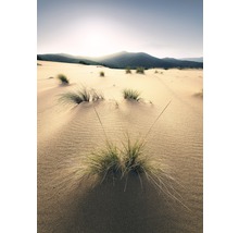 Fototapet vlies SHX4-091 Vivid Dunes 200x280 cm