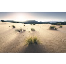 Fototapet vlies SHX9-091 Vivid Dunes 450x280 cm
