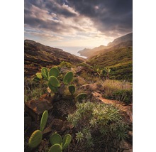 Fototapet vlies SHX4-092 Warm Light 200x280 cm