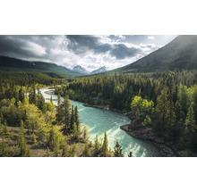 Fototapet vlies SHX9-095 Wild Canada 450x280 cm
