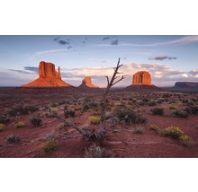 Fototapet vlies SHX9-097 Wild West Heroes 450x280 cm