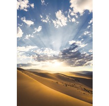 Fototapet vlies SHX4-100 Desert Magic 200x280 cm