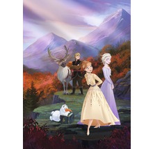 Ilustrație cu Anna, Elsa, Kristoff, Sven și Olaf într-un peisaj montan