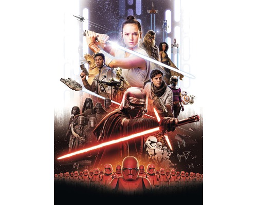 Fototapet hârtie 4-4113 Disney Edition 4 Star Wars EP9 Movie Poster Rey 184x254 cm