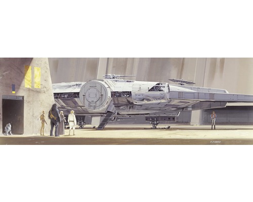 Fototapet hârtie 4-4112 Disney Edition 4 Star Wars RMQ Millenium Falcon 368x127 cm