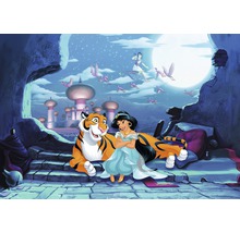 Ilustrație cu Jasmine, Rajah și Aladdin pe un covor zburător în fața unui oraș oriental