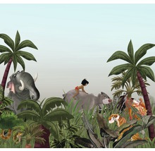 Fototapet vlies DX6-020 Disney Edition 4 Jungle Book 300x280 cm