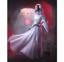 Fototapet vlies DX4-046 Disney Edition 4 Star Wars Classic Leia 200x250 cm