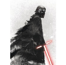 Fototapet vlies DX4-074 Disney Edition 4 Star Wars Kylo Vader Shadow 200x280 cm