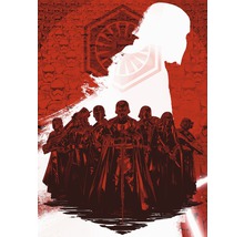 Fototapet vlies DX4-076 Disney Edition 4 Star Wars Supreme Leader 200x280 cm