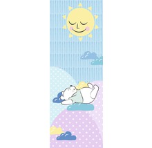 Fototapet vlies DX2-083 Disney Edition 4 Winnie Pooh Take a Nap 100x280 cm
