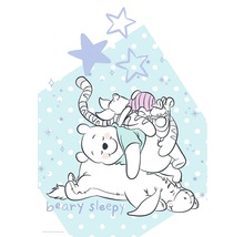 Ilustrație cu Winnie the Pooh și prietenii săi dormind