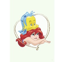 Ilustrație cu Ariel și Flounder într-un cadru în formă de inimă