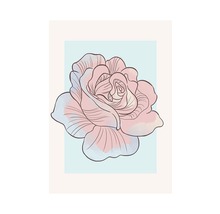 Ilustrație a unui singur trandafir