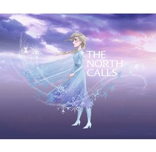 Ilustrație cu Elsa din Regatul de gheață cu inscripția The North Calls