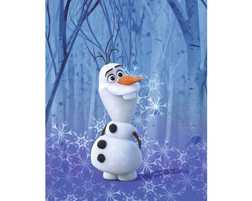 Poster Frozen Olaf Crystal 40x50 cm | HORNBACH