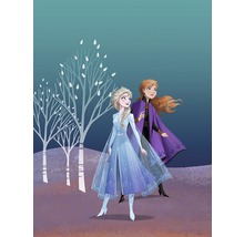 Ilustrație cu Anna și Elsa din Frozen pe fundal cu copaci