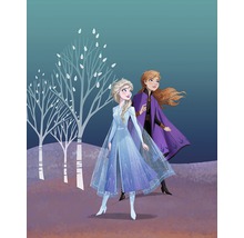 Ilustrație cu personajele Anna și Elsa din Regatul de gheață