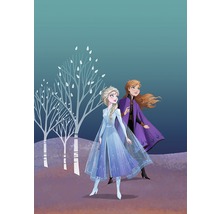 Ilustrație cu surorile Anna și Elsa din Frozen