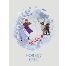 Ilustrație cu personajele din Frozen: Anna, Elsa, Kristoff și renul Sven în pădure.