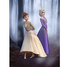 Imagine cu Anna și Elsa din filmul Regatul de gheață în fața unei păduri