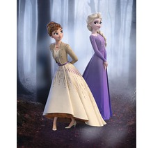 Două personaje din filmul Regatul de Gheață pozează în pădure.