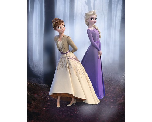 Două personaje din filmul Regatul de Gheață pozează în pădure.