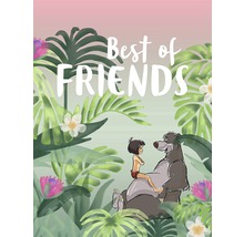 Ilustrație cu Mowgli, Baloo și textul Cei mai buni prieteni în junglă