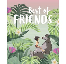 Ilustrație cu Mowgli și Baloo cu inscripția ''Cei mai buni prieteni''