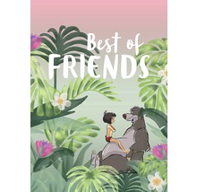 Ilustrație cu Mowgli și Baloo cu inscripția Cei mai buni prieteni