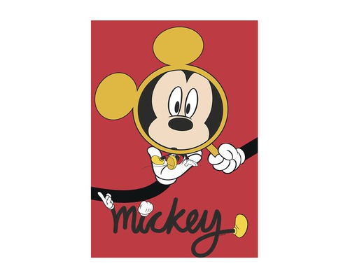 Motiv Mickey Mouse
