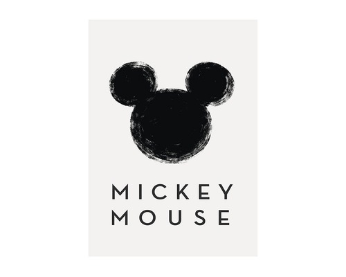 Imagine cu Mickey Mouse