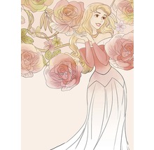 Ilustrație cu prințesa Aurora și trandafiri