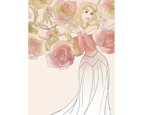 Ilustrație cu prințesa Aurora și trandafiri