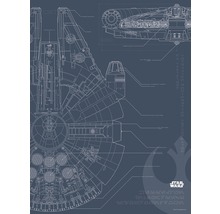 Poster Star Wars Planul de construcție Millennium Falcon