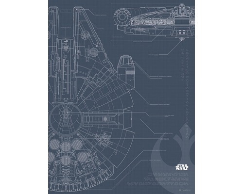 Poster Star Wars Planul de construcție Millennium Falcon