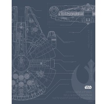 Poster Star Wars Plan de construcție Millennium Falcon