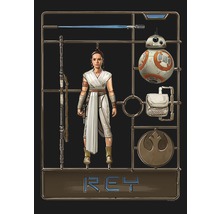 Set de modelism Star Wars Rey cu figurină, robot și accesorii